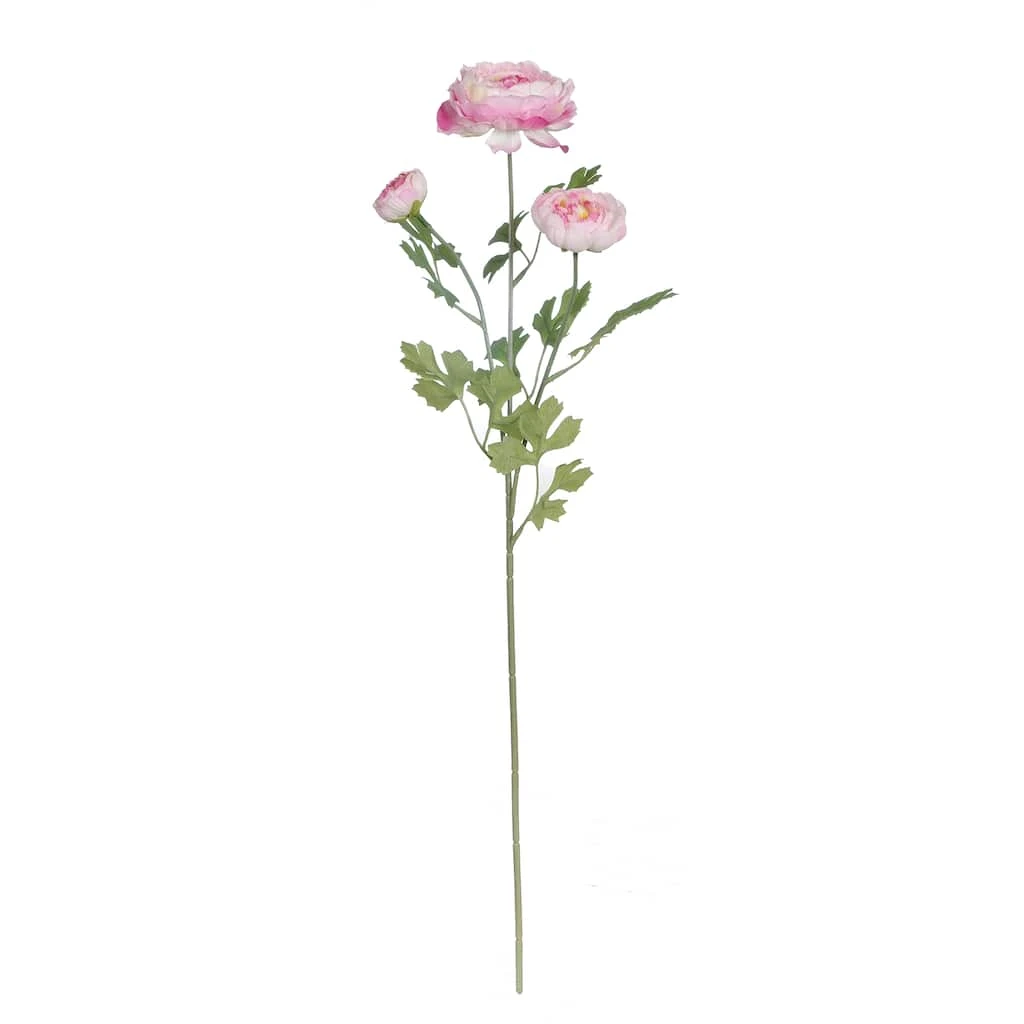 Best reviews of 🥰 Pink Buttercup Spray Stem by Ashland® 🛒 3 Best reviews of 🥰 Pink Buttercup Spray Stem by Ashland® 🛒