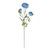 Hot Sale π€© 12 Pack: Blue Ranunculus Spray by Ashland® π 2 Hot Sale π€© 12 Pack: Blue Ranunculus Spray by Ashland® π -Outlet Yuletide Joy Store 10626531 1 1