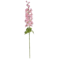Best reviews of ✔️ 12 Pack: Pink Larkspur Stem by Ashland® ⌛