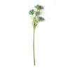 Buy ✔️ Blue Queen Anne's Lace Stem by Ashland® ✨ -Outlet Yuletide Joy Store 10626566 21