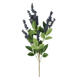 Best reviews of 🔥 12 Pack: Blue Berry Spray by Ashland® ⭐