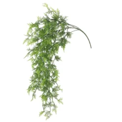 Cheap 💯 6 Pack: Green Hanging Fern Bush by Ashland® ❤️