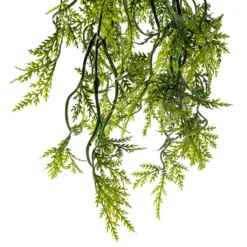 Best reviews of 😀 Green Hanging Fern Bush by Ashland® 🌟 -Outlet Yuletide Joy Store 10626844 20