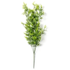 Best reviews of 😀 Green Hanging Fern Bush by Ashland® 🌟 -Outlet Yuletide Joy Store 10626844 21