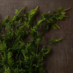 Best reviews of 😀 Green Hanging Fern Bush by Ashland® 🌟 -Outlet Yuletide Joy Store 10626844 25