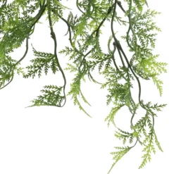 Best reviews of 😀 Green Hanging Fern Bush by Ashland® 🌟 -Outlet Yuletide Joy Store 10626844 3