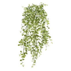 Discount 😀 6 Pack: Cream & Green Hanging Smilax Bush by Ashland® 🎉 -Outlet Yuletide Joy Store 10626845 4