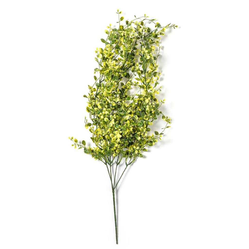 Flash Sale ✨ 6 Pack: Green Hanging Smilax Bush by Ashland® ✨ 8 Flash Sale ✨ 6 Pack: Green Hanging Smilax Bush by Ashland® ✨ - Image 6