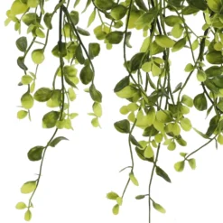 Best Pirce ❤️ Green Hanging Smilax Bush by Ashland® 🥰 -Outlet Yuletide Joy Store 10626846 3