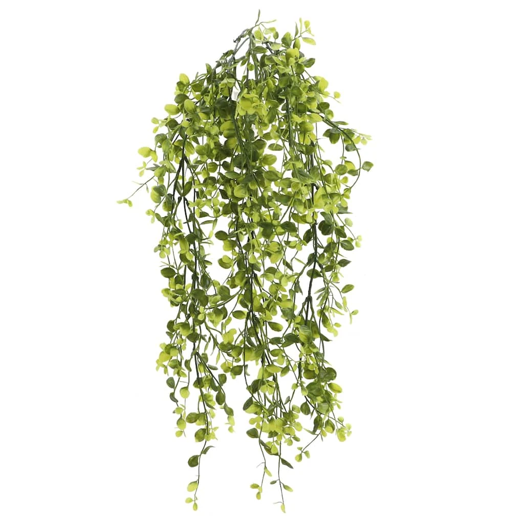 Flash Sale ✨ 6 Pack: Green Hanging Smilax Bush by Ashland® ✨ 5 Flash Sale ✨ 6 Pack: Green Hanging Smilax Bush by Ashland® ✨ - Image 3