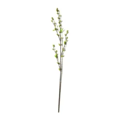 Top 10 ๐ Green Willow Stem by Ashland® โญ