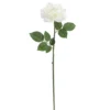 Deals π 6 Pack: White Rose Stem by Ashland® β 2 Deals π 6 Pack: White Rose Stem by Ashland® β -Outlet Yuletide Joy Store 10626862 1