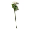 Coupon ⌛ White Rose Stem by Ashland® ⌛ 2 Coupon ⌛ White Rose Stem by Ashland® ⌛ -Outlet Yuletide Joy Store 10626862 21