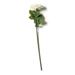 Coupon ⌛ White Rose Stem by Ashland® ⌛