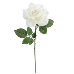 Deals 😉 6 Pack: White Rose Stem by Ashland® ⭐ -Outlet Yuletide Joy Store 10626862 4