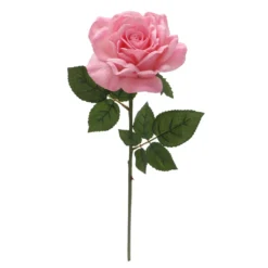 Discount ✔️ 6 Pack: Blush Rose Stem by Ashland® 😀 -Outlet Yuletide Joy Store 10626864 4