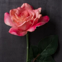 Cheapest ✔️ Pink Rose Stem by Ashland® ⌛ -Outlet Yuletide Joy Store 10626868 22