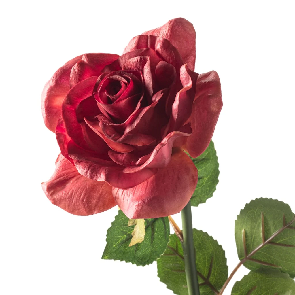 Deals ✔️ Fuchsia Rose Stem by Ashland® ⌛ 5 Deals ✔️ Fuchsia Rose Stem by Ashland® ⌛ - Image 3