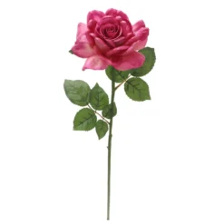 Best Sale ⌛ 6 Pack: Fuchsia Rose Stem by Ashland® ⌛ -Outlet Yuletide Joy Store 10626870 4
