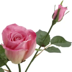 Best reviews of ❤️ 6 Pack: Pink Rose Spray by Ashland® 🤩 -Outlet Yuletide Joy Store 10626874 3