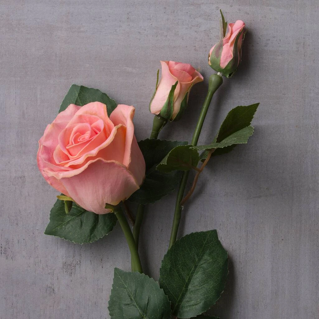 New ✔️ Blush Rose Stem by Ashland® ⭐ 4 New ✔️ Blush Rose Stem by Ashland® ⭐ - Image 2