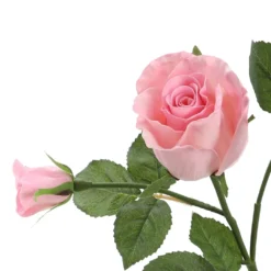 Best reviews of ⌛ 6 Pack: Blush Rose Spray by Ashland® 🥰 -Outlet Yuletide Joy Store 10626876 3