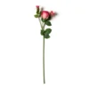 Coupon 🎁 Fuchsia Rose Stem by Ashland® ❤️ 2 Coupon 🎁 Fuchsia Rose Stem by Ashland® ❤️ -Outlet Yuletide Joy Store 10626878 21