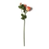 Hot Sale ❤️ Coral Rose Stem by Ashland® ⌛