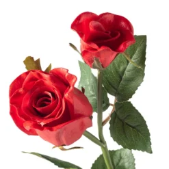 Best reviews of 🔔 Red Rose Stem by Ashland® ✨ 7 Best reviews of 🔔 Red Rose Stem by Ashland® ✨ -Outlet Yuletide Joy Store 10626884 20