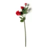 Best reviews of 🔔 Red Rose Stem by Ashland® ✨ 2 Best reviews of 🔔 Red Rose Stem by Ashland® ✨ -Outlet Yuletide Joy Store 10626884 21