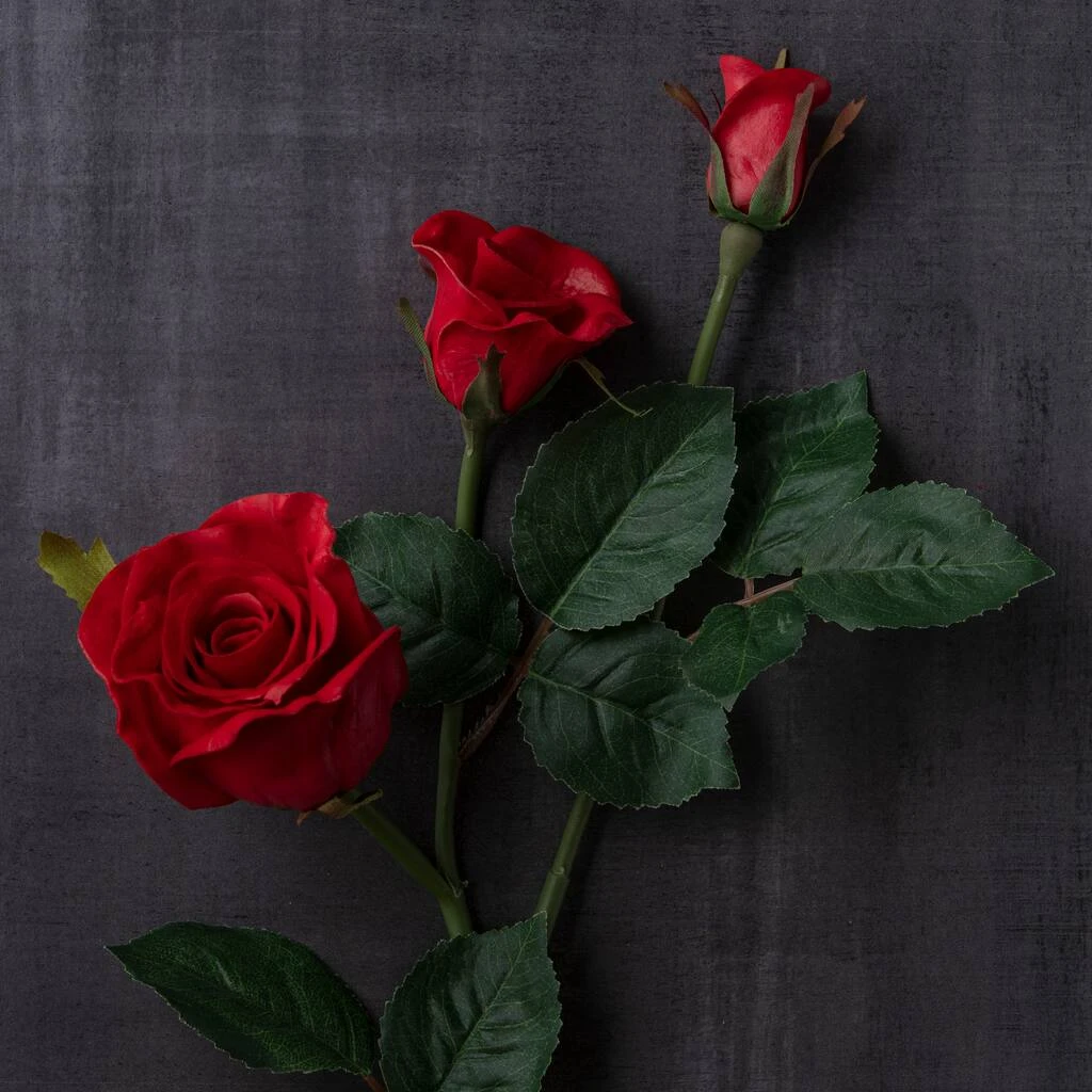 Best reviews of 🔔 Red Rose Stem by Ashland® ✨ 4 Best reviews of 🔔 Red Rose Stem by Ashland® ✨ - Image 2