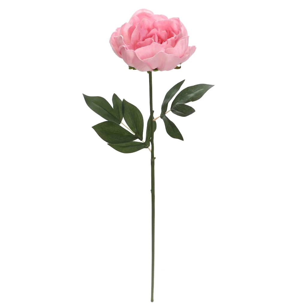 Brand new π 6 Pack: Blush Peony Stem by Ashland® π 3 Brand new π 6 Pack: Blush Peony Stem by Ashland® π