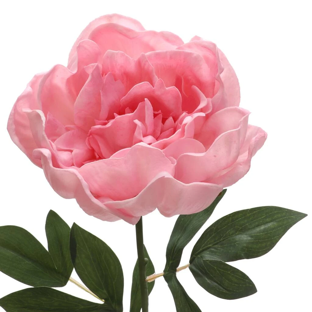 Brand new π 6 Pack: Blush Peony Stem by Ashland® π 4 Brand new π 6 Pack: Blush Peony Stem by Ashland® π - Image 2