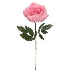 Brand new π 6 Pack: Blush Peony Stem by Ashland® π 10 Brand new π 6 Pack: Blush Peony Stem by Ashland® π -Outlet Yuletide Joy Store 10626886 3