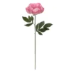 Best Sale ⭐ 6 Pack: Pink Peony Stem by Ashland® 🧨 2 Best Sale ⭐ 6 Pack: Pink Peony Stem by Ashland® 🧨 -Outlet Yuletide Joy Store 10626888 1