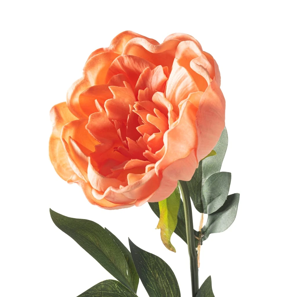 Best deal βοΈ Coral Large Peony Stem by Ashland® π 5 Best deal βοΈ Coral Large Peony Stem by Ashland® π - Image 3