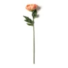 Best deal βοΈ Coral Large Peony Stem by Ashland® π 1 Best deal βοΈ Coral Large Peony Stem by Ashland® π -Outlet Yuletide Joy Store 10626890 21