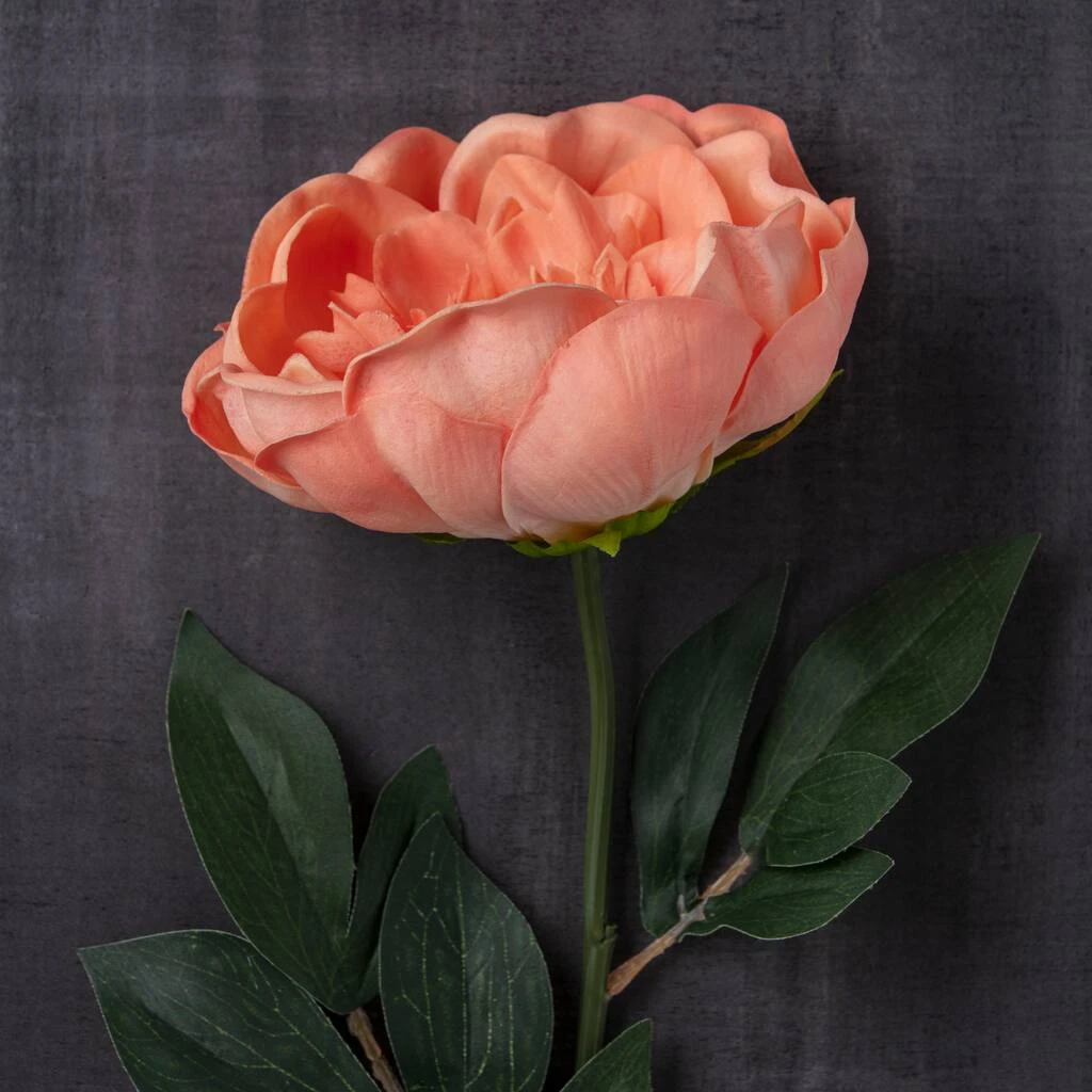 Best deal βοΈ Coral Large Peony Stem by Ashland® π 4 Best deal βοΈ Coral Large Peony Stem by Ashland® π - Image 2