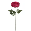 New ๐ Fuchsia Peony Stem by Ashland® โญ 1 New ๐ Fuchsia Peony Stem by Ashland® โญ -Outlet Yuletide Joy Store 10626892 1