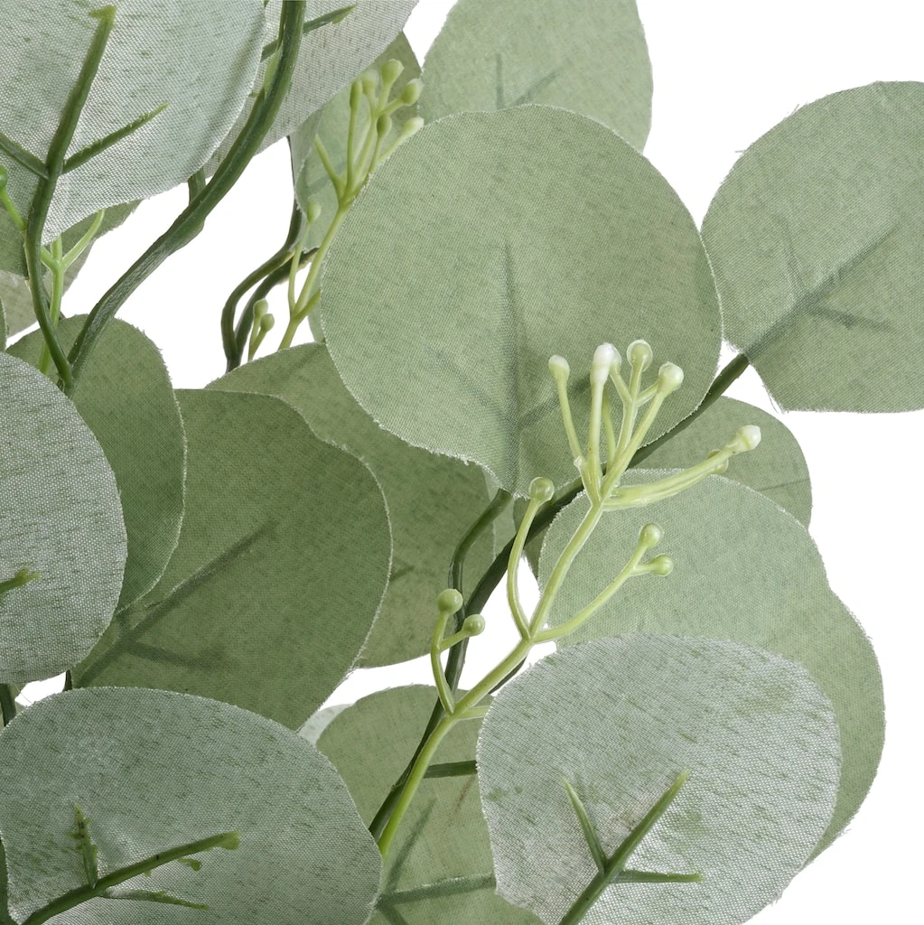 Best deal β Eucalyptus Bush by Ashland® π 4 Best deal β Eucalyptus Bush by Ashland® π - Image 2