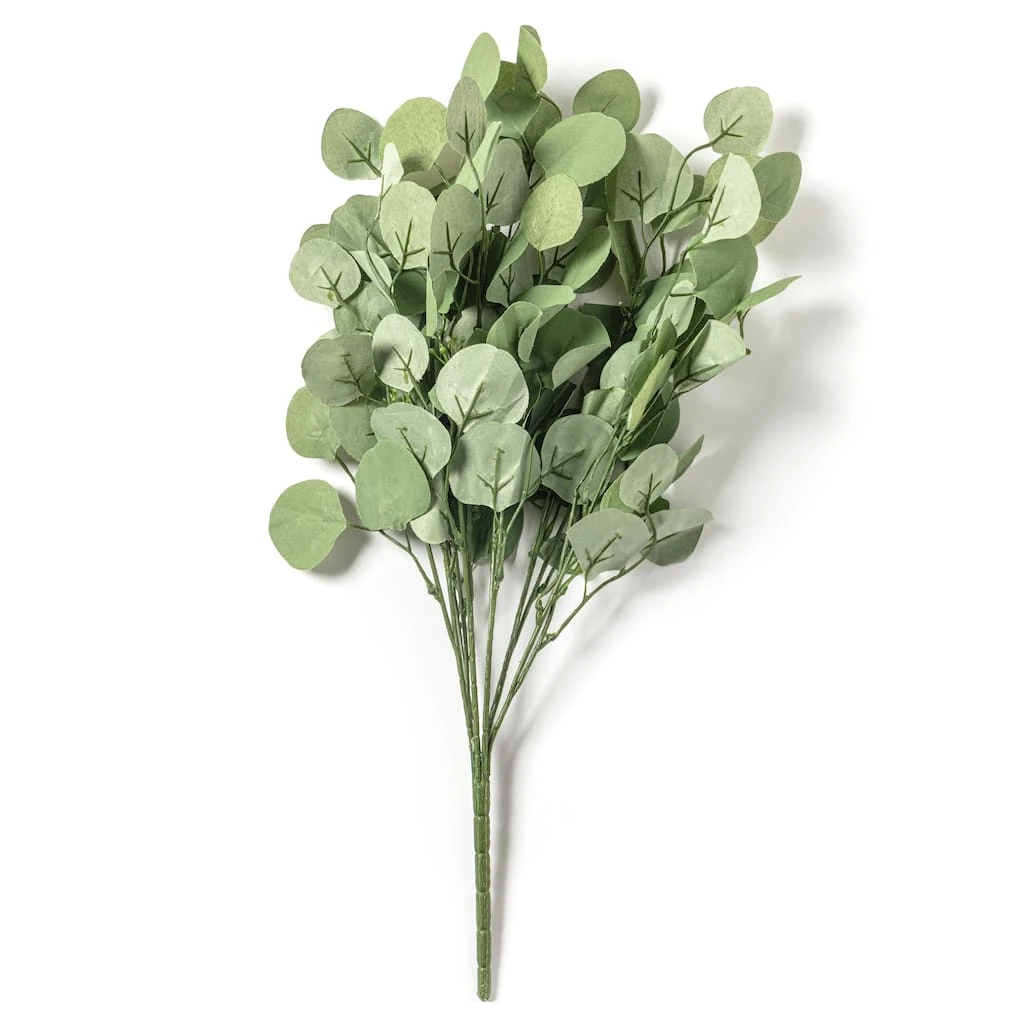 Best deal β Eucalyptus Bush by Ashland® π 6 Best deal β Eucalyptus Bush by Ashland® π - Image 4