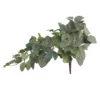 Deals 🔥 Green Hanging Fittonia Bush by Ashland® ⌛ -Outlet Yuletide Joy Store 10626924 1