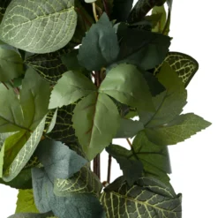 Promo 🧨 6 Pack: Green Hanging Fittonia Bush by Ashland® ⭐ 9 Promo 🧨 6 Pack: Green Hanging Fittonia Bush by Ashland® ⭐ -Outlet Yuletide Joy Store 10626924 20 1