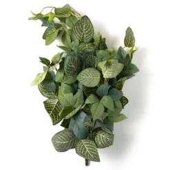 Deals 🔥 Green Hanging Fittonia Bush by Ashland® ⌛ -Outlet Yuletide Joy Store 10626924 21