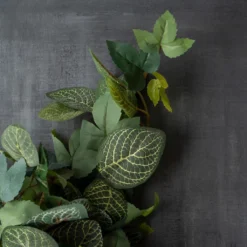 Promo 🧨 6 Pack: Green Hanging Fittonia Bush by Ashland® ⭐ 11 Promo 🧨 6 Pack: Green Hanging Fittonia Bush by Ashland® ⭐ -Outlet Yuletide Joy Store 10626924 25 1