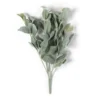 Cheapest β 6 Pack: Lamb's Ear Bush by Ashland® π 1 Cheapest β 6 Pack: Lamb's Ear Bush by Ashland® π -Outlet Yuletide Joy Store 10626928 21