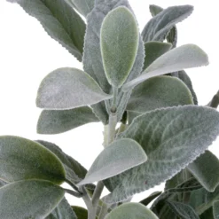 Best reviews of ✨ Lamb's Ear Bush by Ashland® 😀 -Outlet Yuletide Joy Store 10626928 3