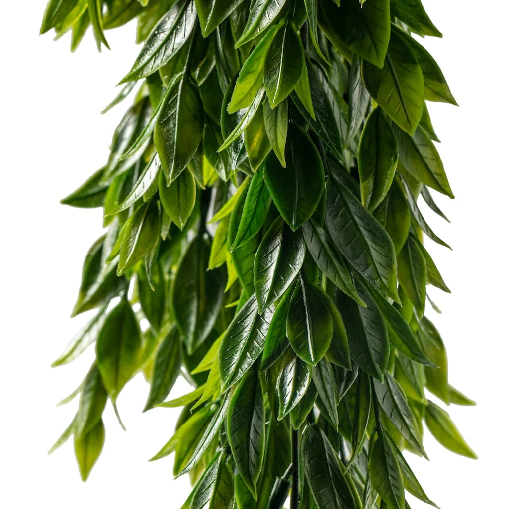 Best Sale 🤩 Hanging Ruscus Bush by Ashland® ✔️ 5 Best Sale 🤩 Hanging Ruscus Bush by Ashland® ✔️ - Image 3