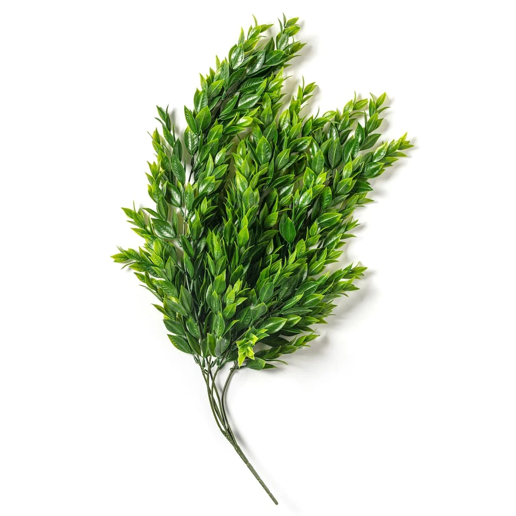 Best Sale 🤩 Hanging Ruscus Bush by Ashland® ✔️ 6 Best Sale 🤩 Hanging Ruscus Bush by Ashland® ✔️ - Image 4