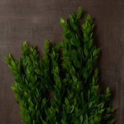 Best Sale 🤩 Hanging Ruscus Bush by Ashland® ✔️ 11 Best Sale 🤩 Hanging Ruscus Bush by Ashland® ✔️ -Outlet Yuletide Joy Store 10626982 25